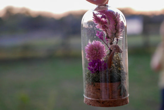 tiny mushroom and moss and dried flower in a glass cloche ornament