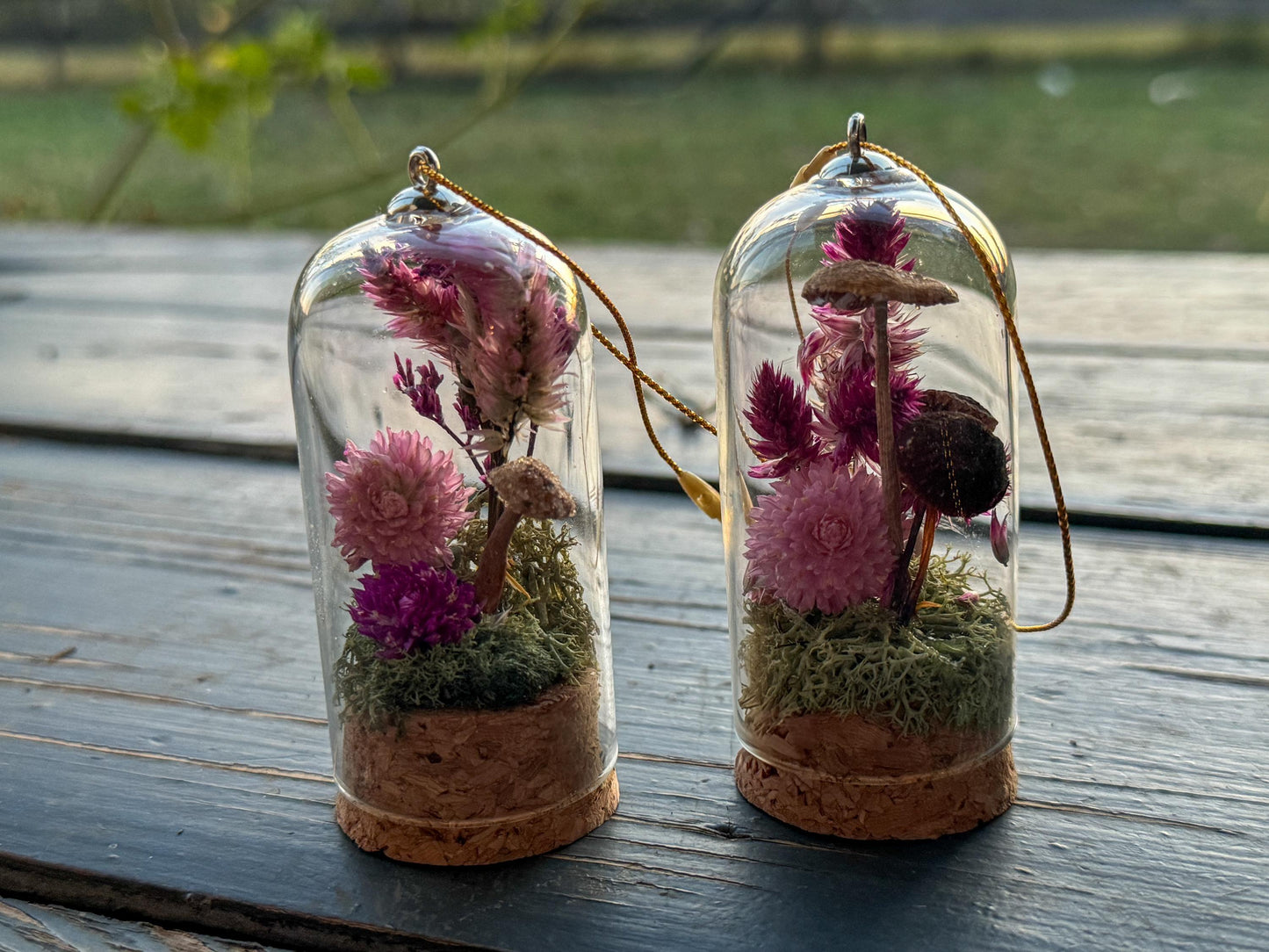 tiny mushroom and moss and dried flower in a glass cloche ornament 3 inches real dried flowers and real ornament with string