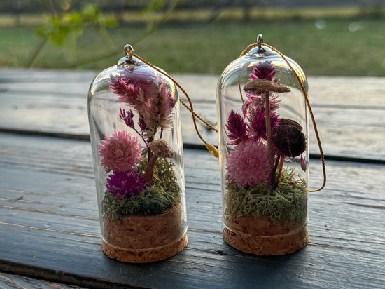 tiny mushroom and moss and dried flower in a glass cloche ornament 3 inches real dried flowers and real ornament with string