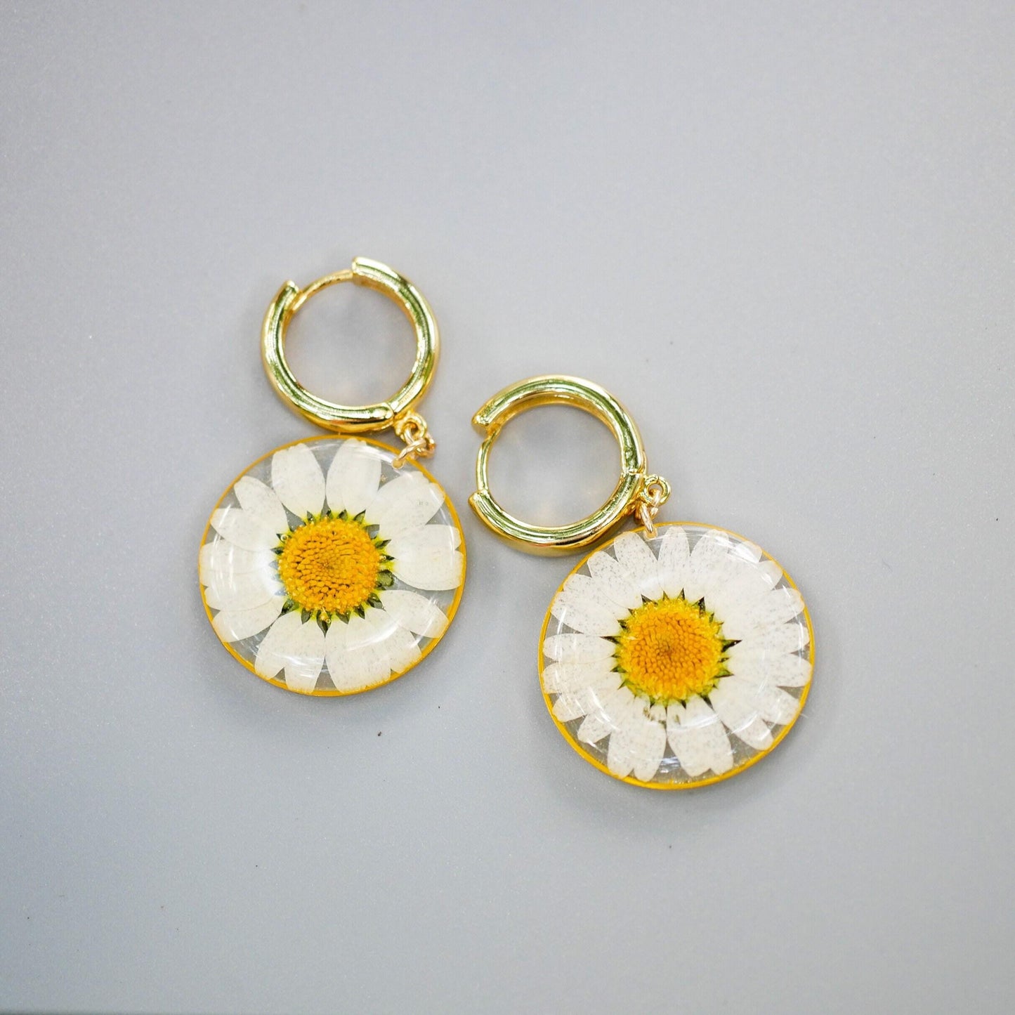 Pressed flower daisy earrings, real flowers,  hoop earrings,  terrarium earrings, real flower jewelry, botanical hoops