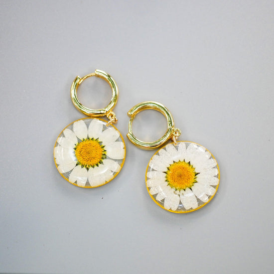 Pressed flower daisy earrings, real flowers,  hoop earrings,  terrarium earrings, real flower jewelry, botanical hoops