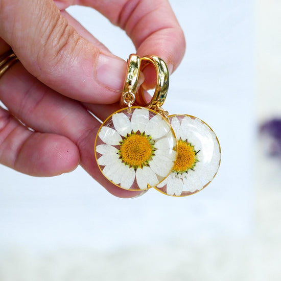 Pressed flower daisy earrings, real flowers,  hoop earrings,  terrarium earrings, real flower jewelry, botanical hoops