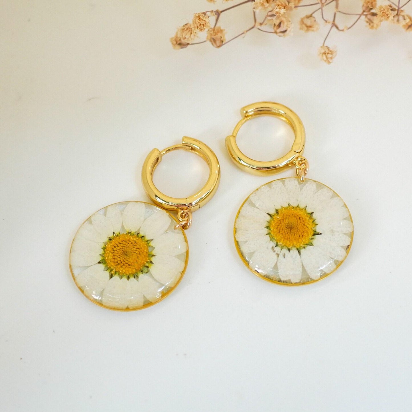 Pressed flower daisy earrings, real flowers,  hoop earrings,  terrarium earrings, real flower jewelry, botanical hoops