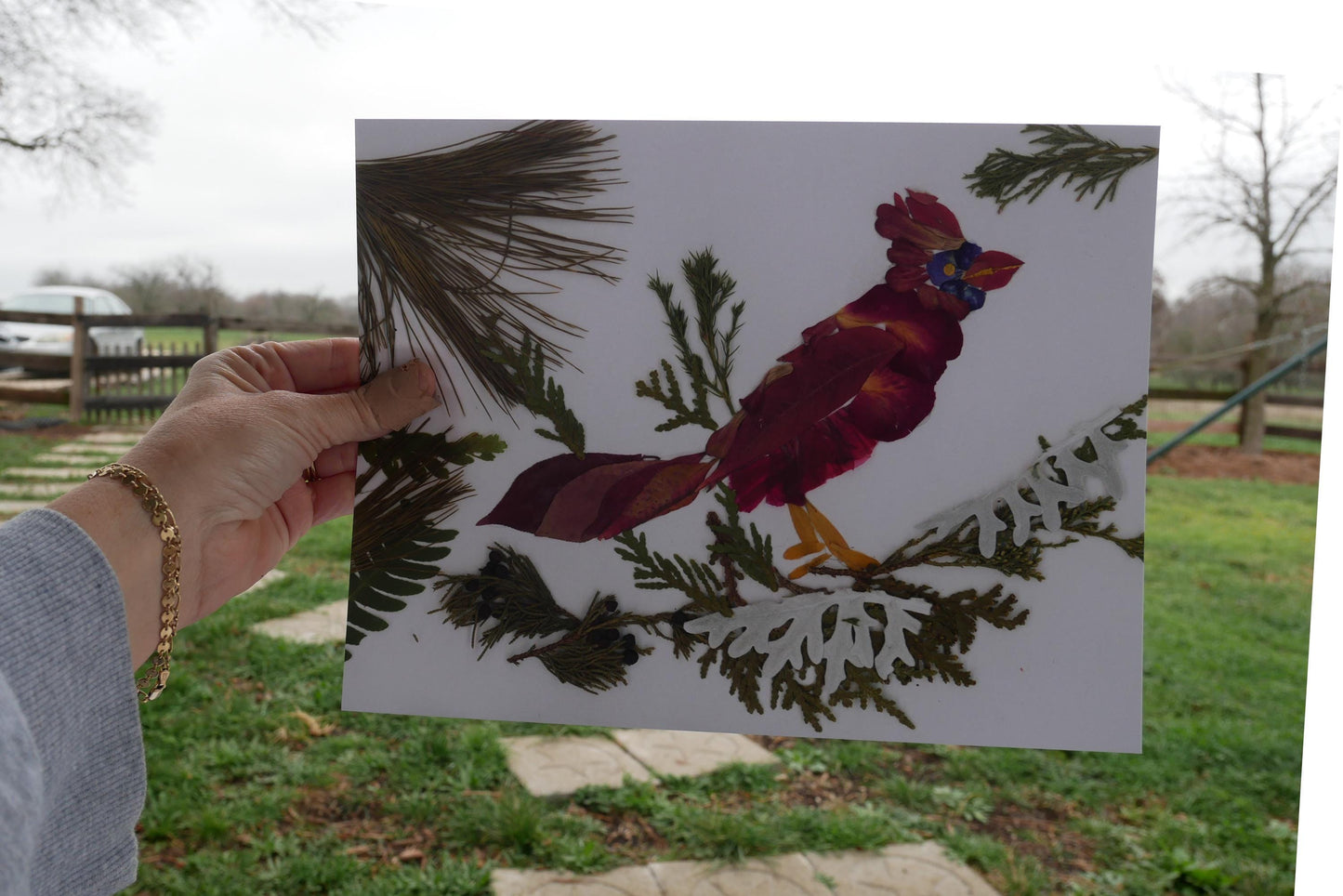 Cardinal Greeting Card: Pressed Flower Art, Blank Floral Note