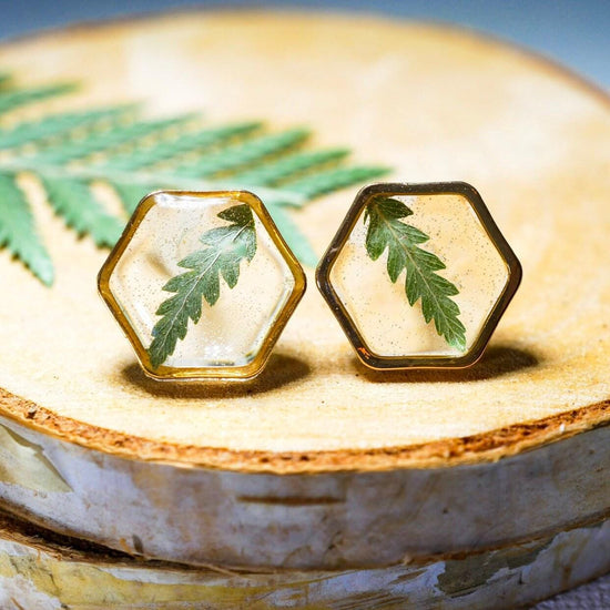 Real fern stud earrings, pressed fern studs, terrarium jewelry, garden gift earrings, hexagon studs
