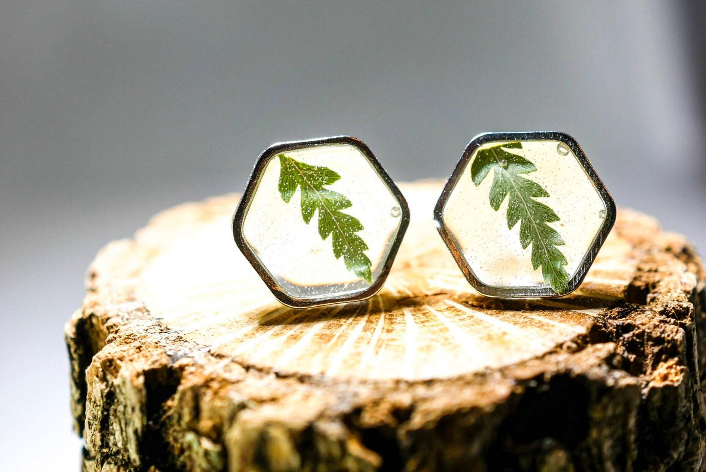 Real fern stud earrings, pressed fern studs, terrarium jewelry, garden gift earrings, hexagon studs
