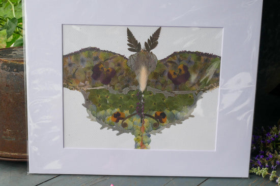 Pressed flower luna moth art, floral collage, botanical nature art print, blank greeting card