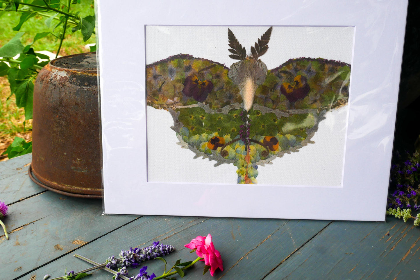 Pressed flower luna moth art, floral collage, botanical nature art print, blank greeting card