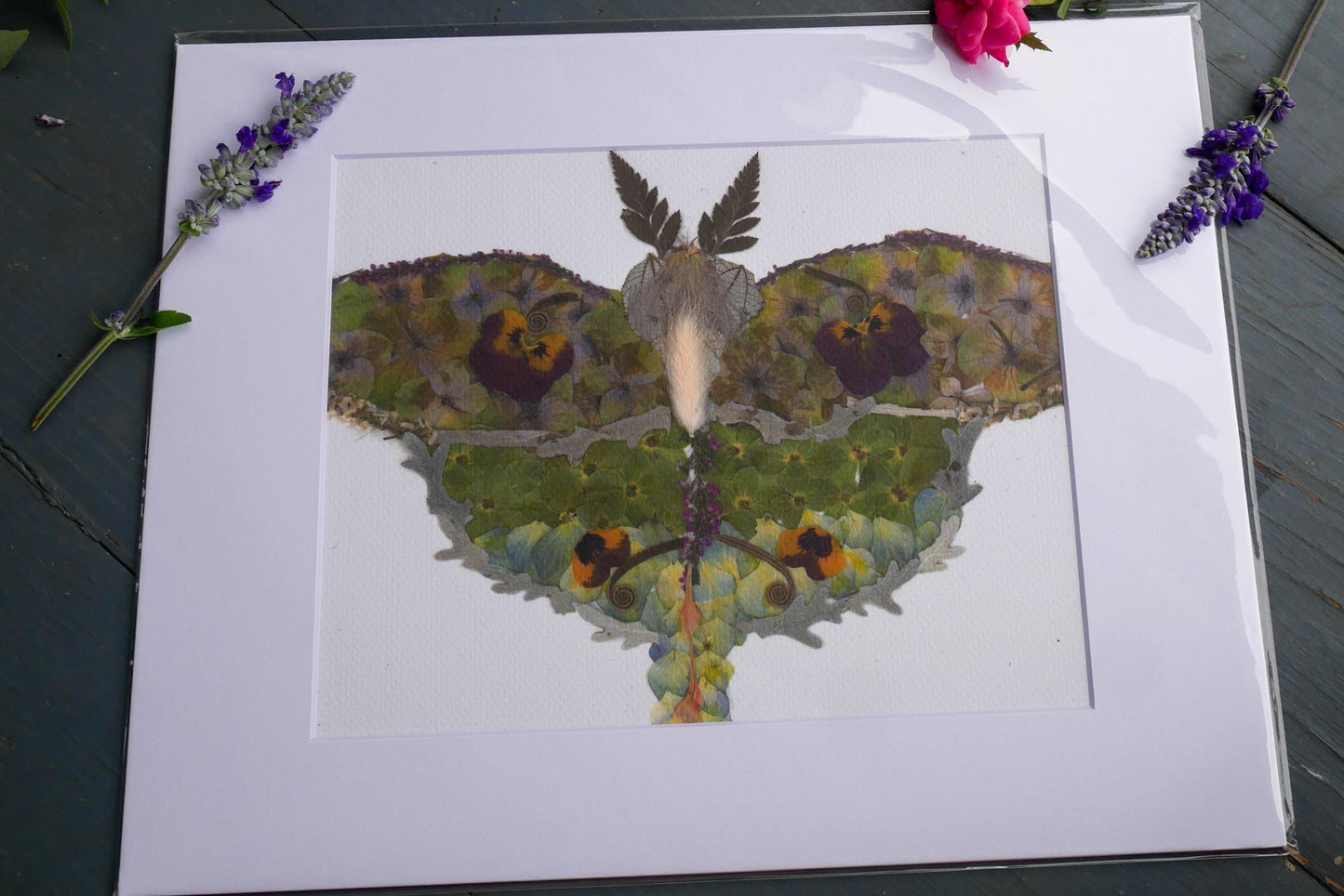 Pressed flower luna moth art, floral collage, botanical nature art print, blank greeting card