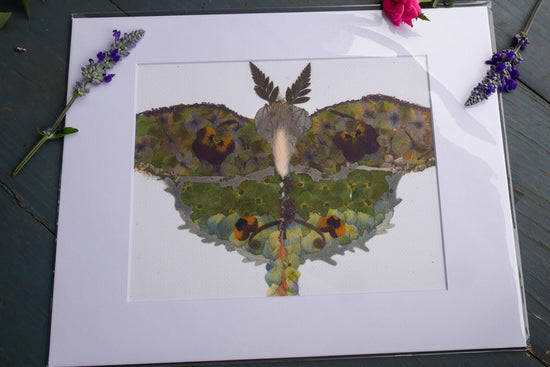 Pressed flower luna moth art, floral collage, botanical nature art print, blank greeting card