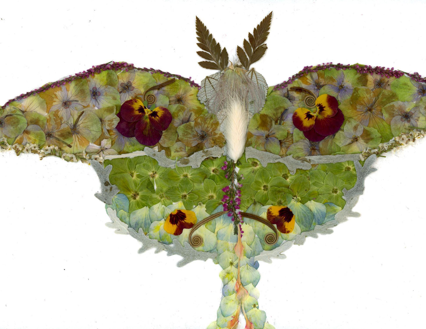 Pressed flower luna moth art, floral collage, botanical nature art print, blank greeting card