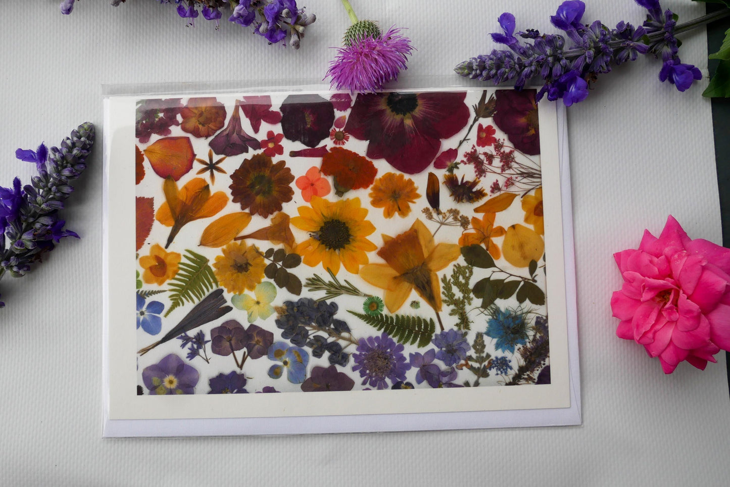 Rainbow Pressed Flower Greeting Card – 5x7 Frameable Print