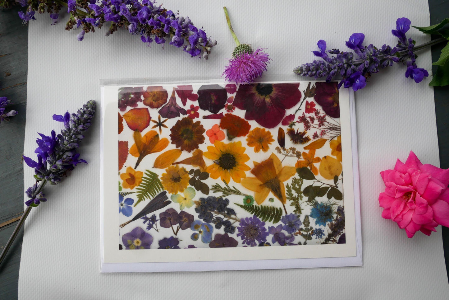 Rainbow Pressed Flower Greeting Card – 5x7 Frameable Print