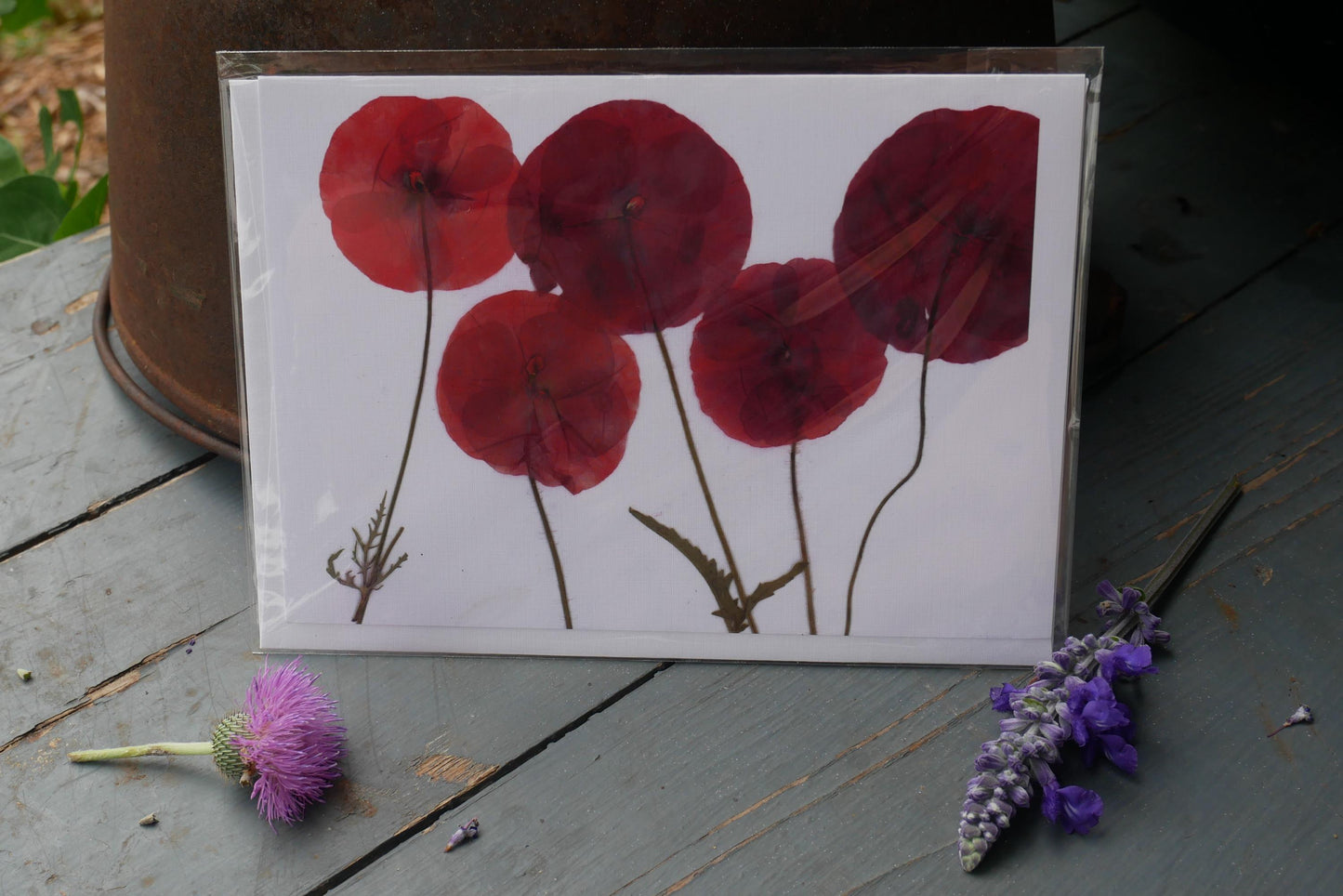 Pressed Poppy Greeting Card – 5x7 Botanical Print | Handmade Flower Card | Blank Card with Envelope | Frameable Art Print