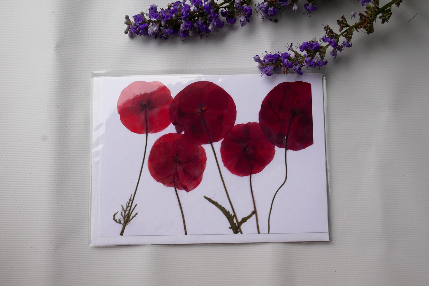 Pressed Poppy Greeting Card – 5x7 Botanical Print | Handmade Flower Card | Blank Card with Envelope | Frameable Art Print