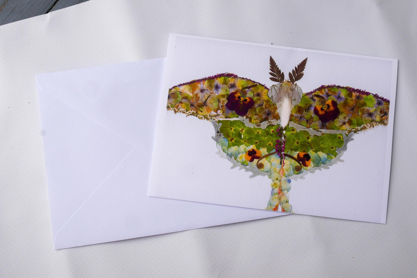 Pressed flower luna moth art, floral collage, botanical nature art print, blank greeting card
