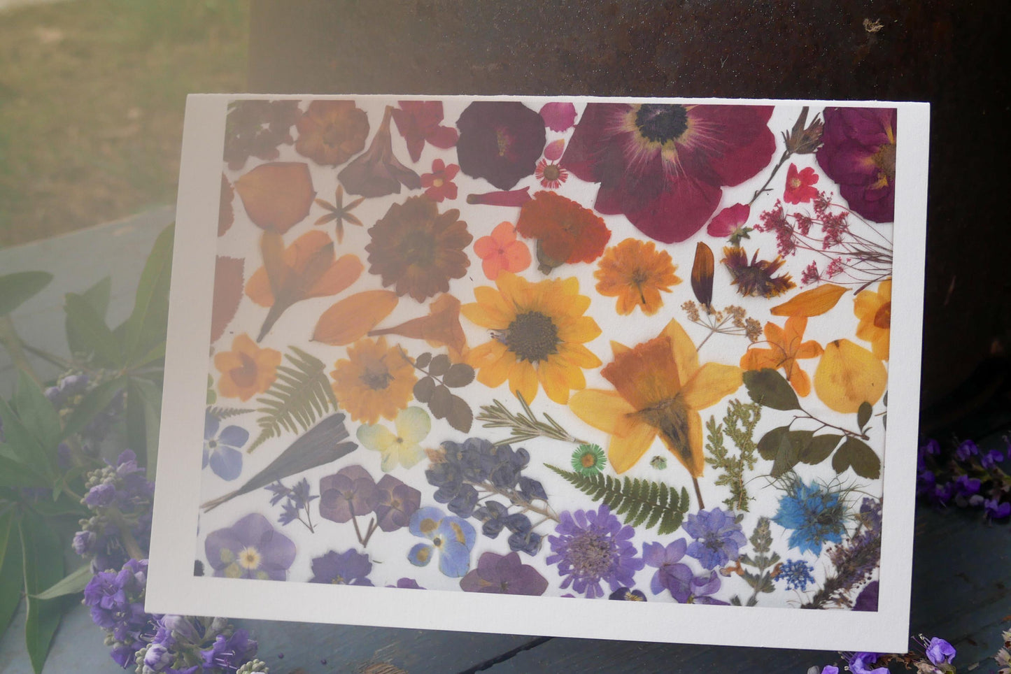 Rainbow Pressed Flower Greeting Card – 5x7 Frameable Print