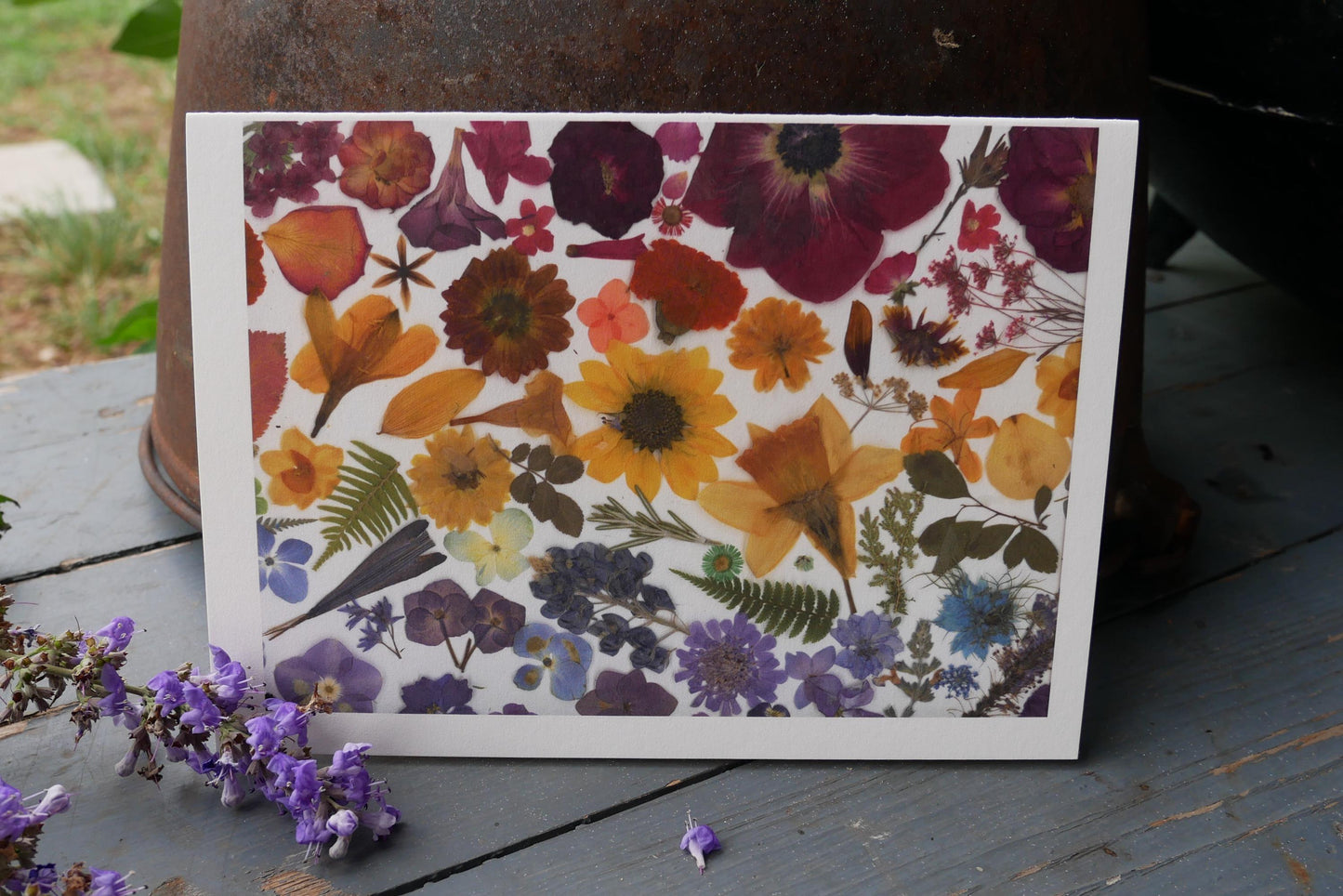Rainbow Pressed Flower Greeting Card – 5x7 Frameable Print