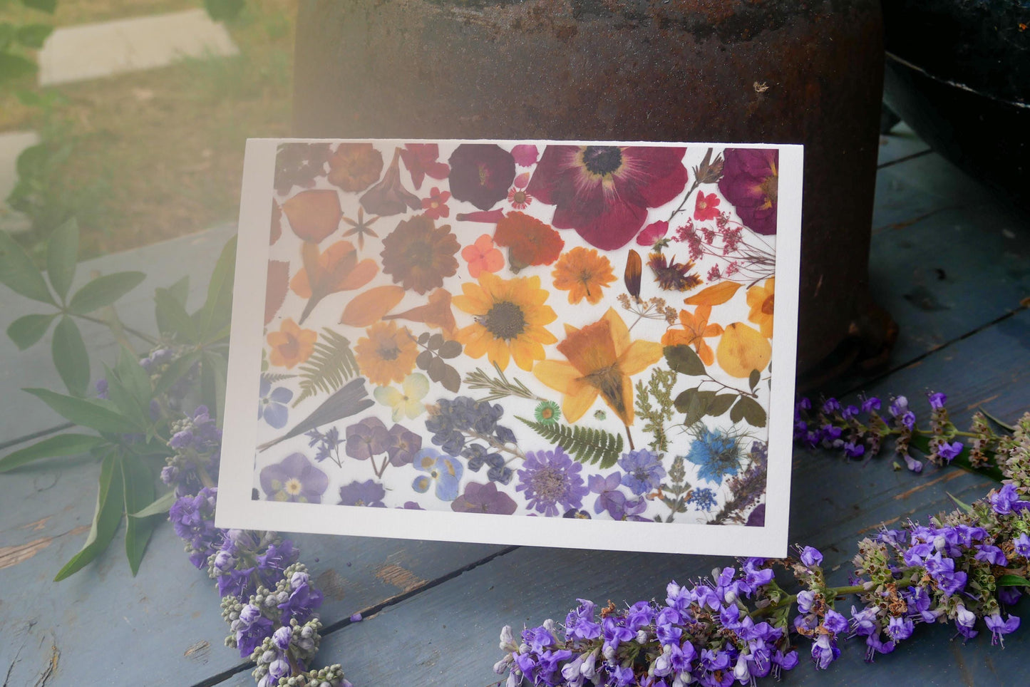Rainbow Pressed Flower Greeting Card – 5x7 Frameable Print