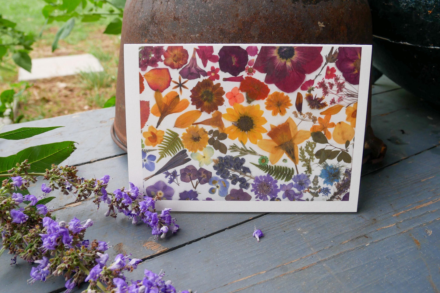 Rainbow Pressed Flower Greeting Card – 5x7 Frameable Print