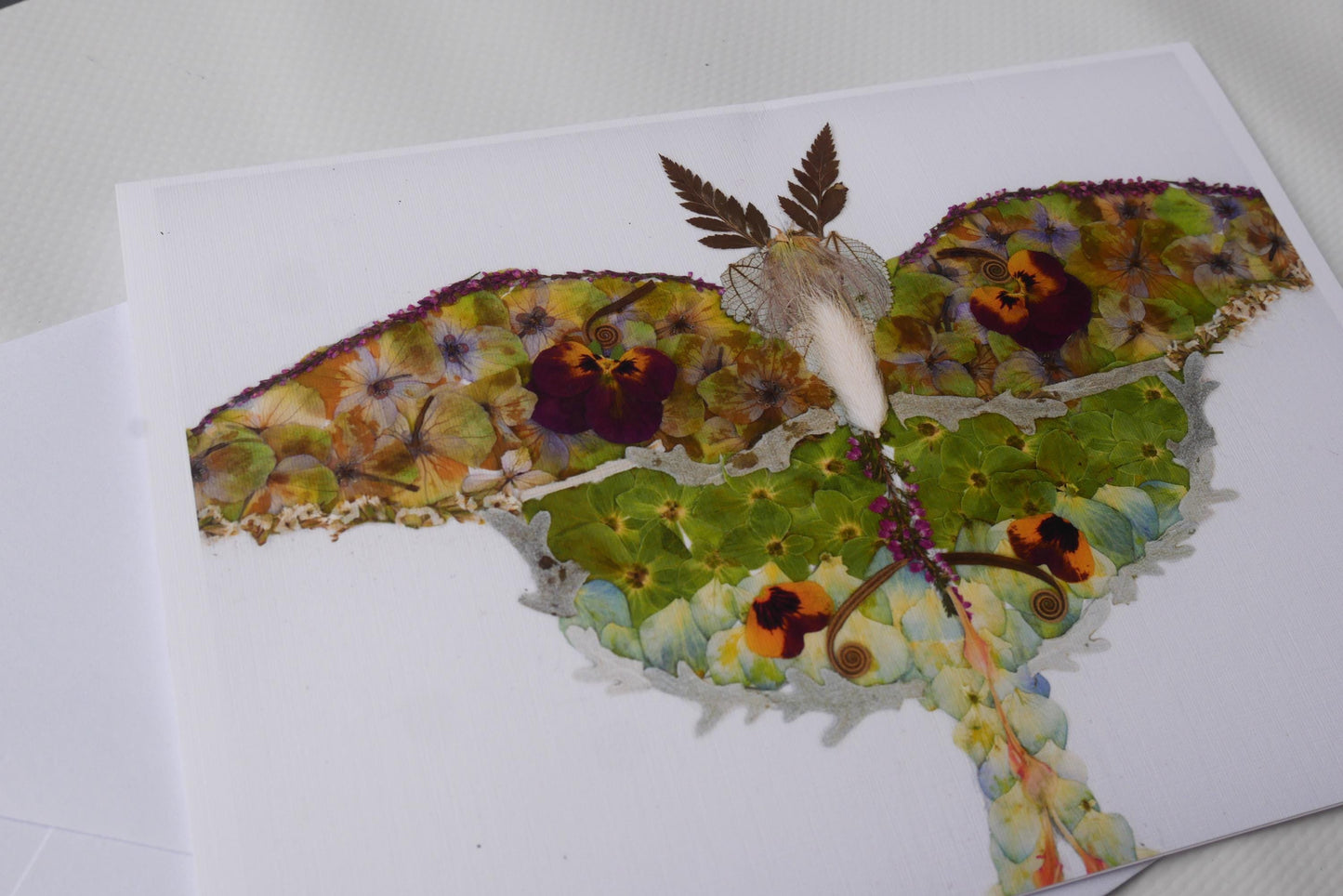 Pressed flower luna moth art, floral collage, botanical nature art print, blank greeting card