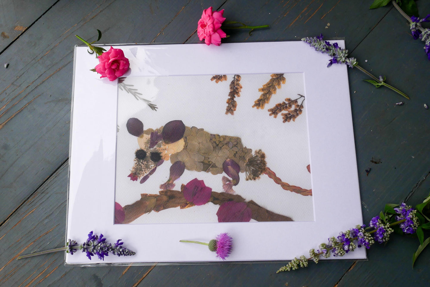 Possum Art Print: Real Pressed Flowers (Wall or Greeting Card)