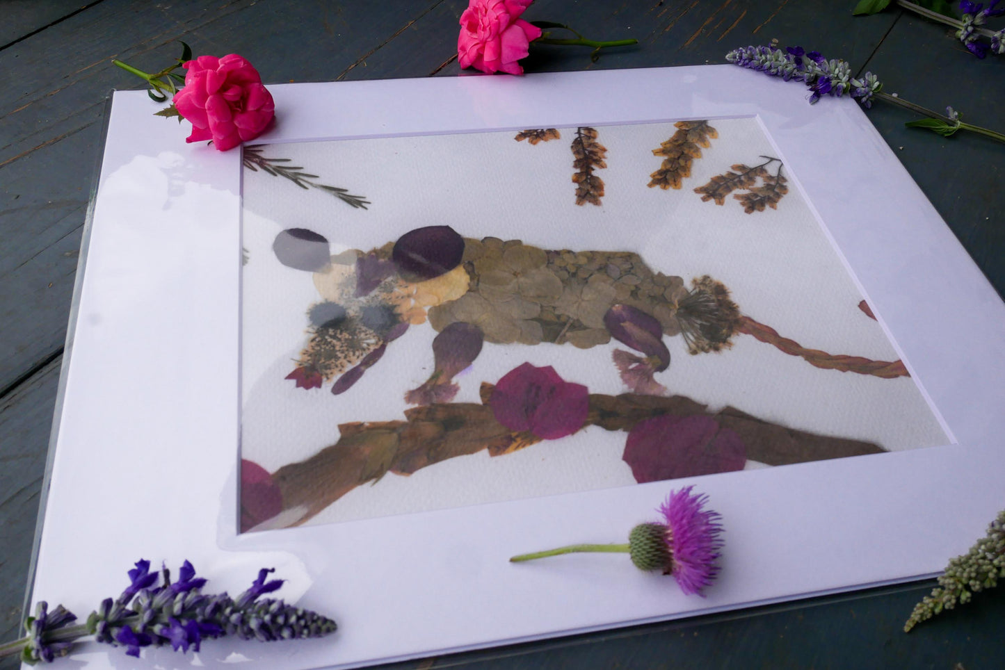 Pressed Flower Possum Print or Greeting Card – Nature-Inspired Art | Cute & Quirky Possum Gift | Botanical Wildlife Print