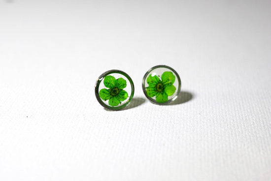 Green flower earrings, real flower stud earrings, pressed flower jewelry, bridal terrarium earrings
