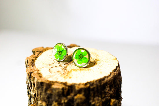 Green flower earrings, real flower stud earrings, pressed flower jewelry, bridal terrarium earrings