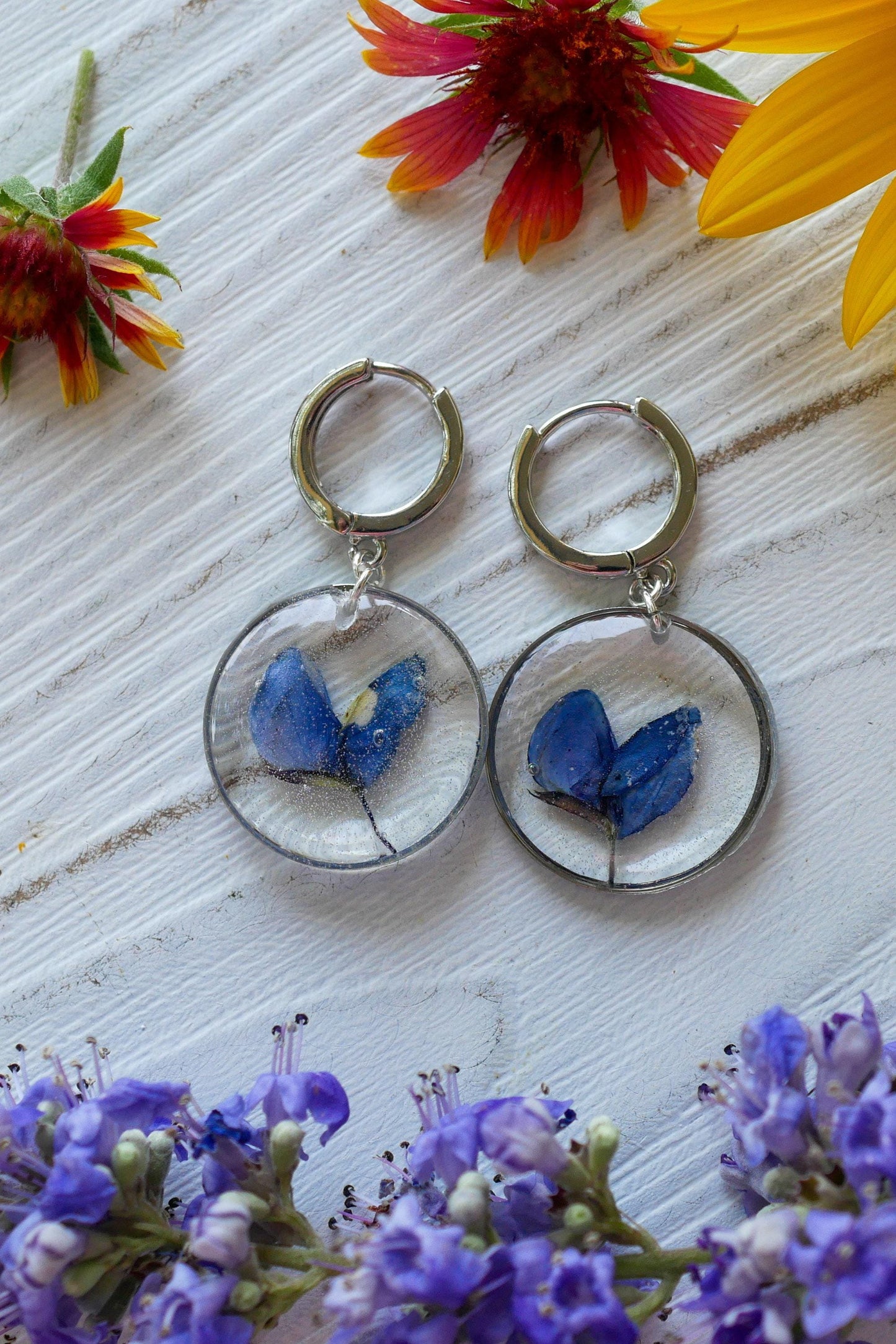 Bluebonnet  earrings, real pressed texas bluebonnet hoop earrings silver or gold