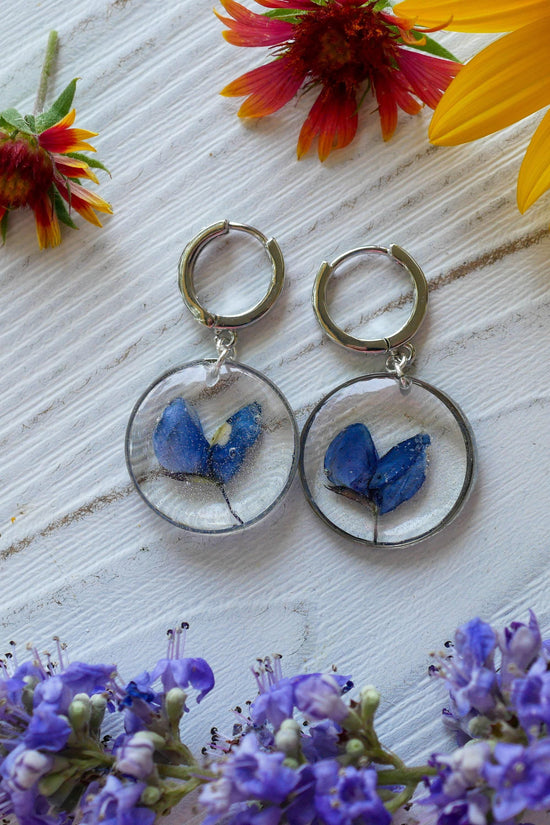 Bluebonnet  earrings, real pressed texas bluebonnet hoop earrings silver or gold