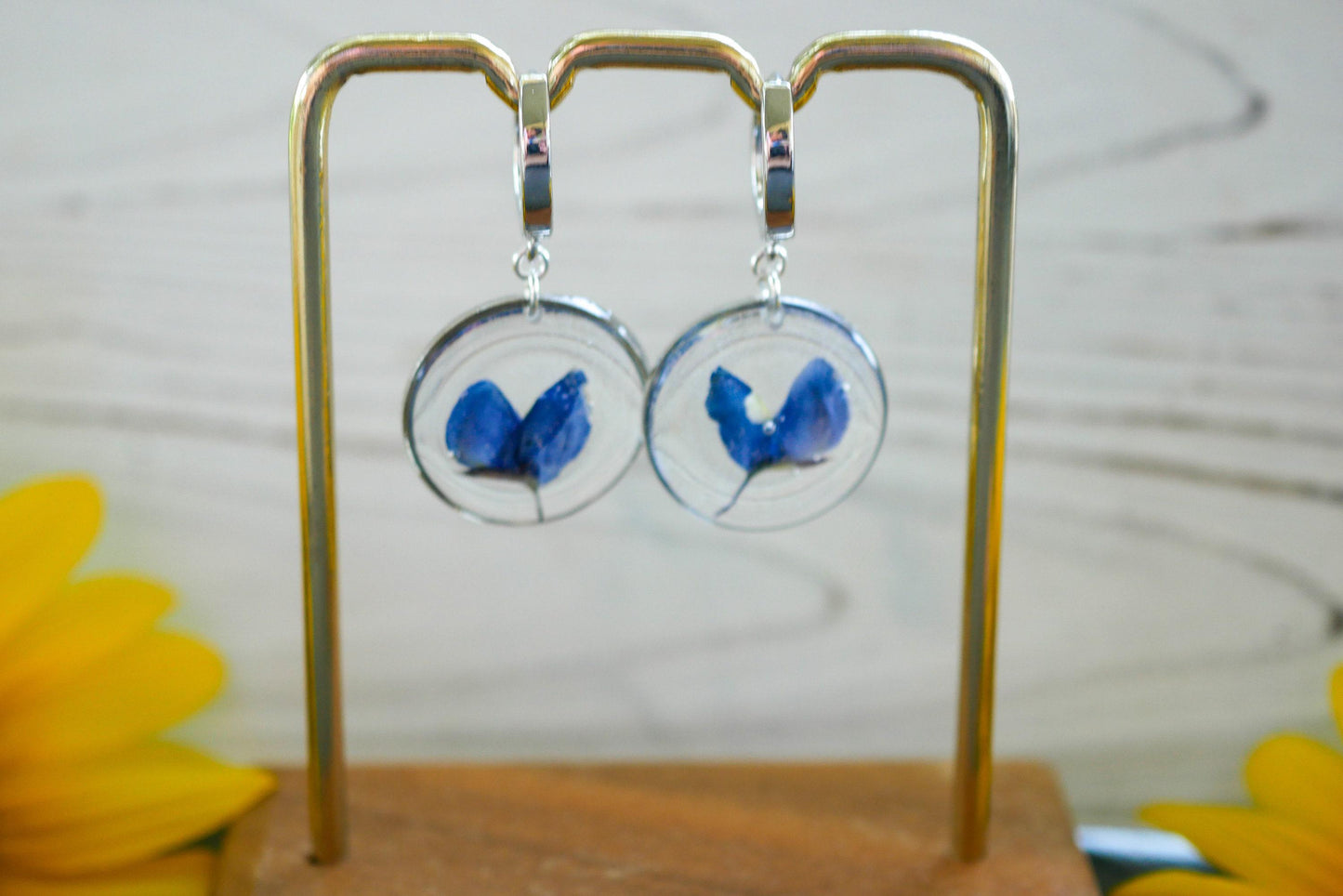 Bluebonnet  earrings, real pressed texas bluebonnet hoop earrings silver or gold
