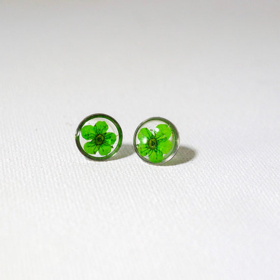 Green flower earrings, real flower stud earrings, pressed flower jewelry, bridal terrarium earrings