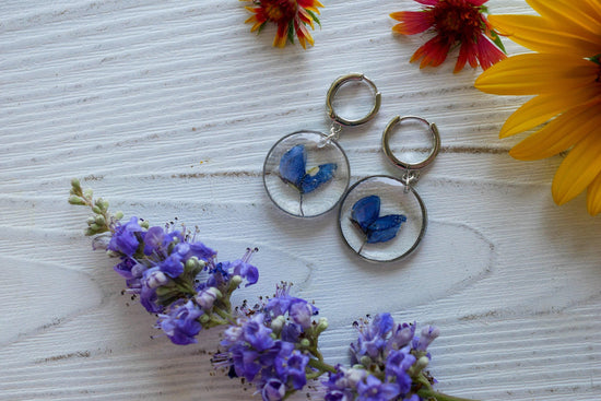 Bluebonnet  earrings, real pressed texas bluebonnet hoop earrings silver or gold