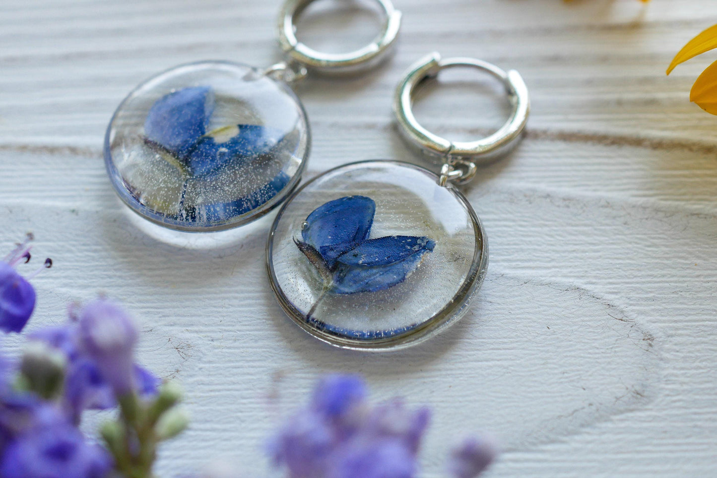 Bluebonnet  earrings, real pressed texas bluebonnet hoop earrings silver or gold
