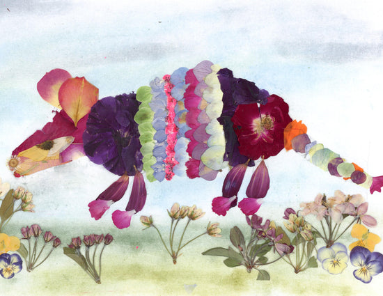 Pressed flower armadillo art, real flower art print, whimsical armadillo art, floral collage