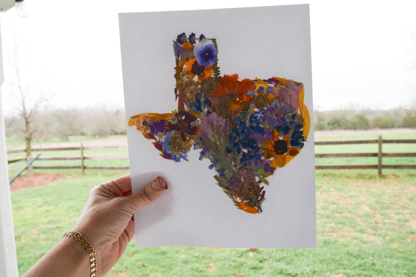 Texas Wildflower Wall Art - Real Pressed Flowers Handmade