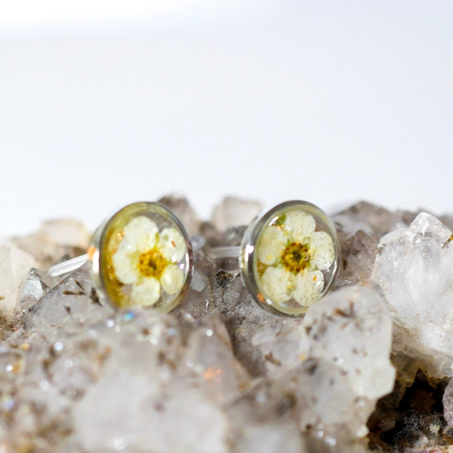 Pressed Flower Stud Earrings: Tiny White Blooms in Resin