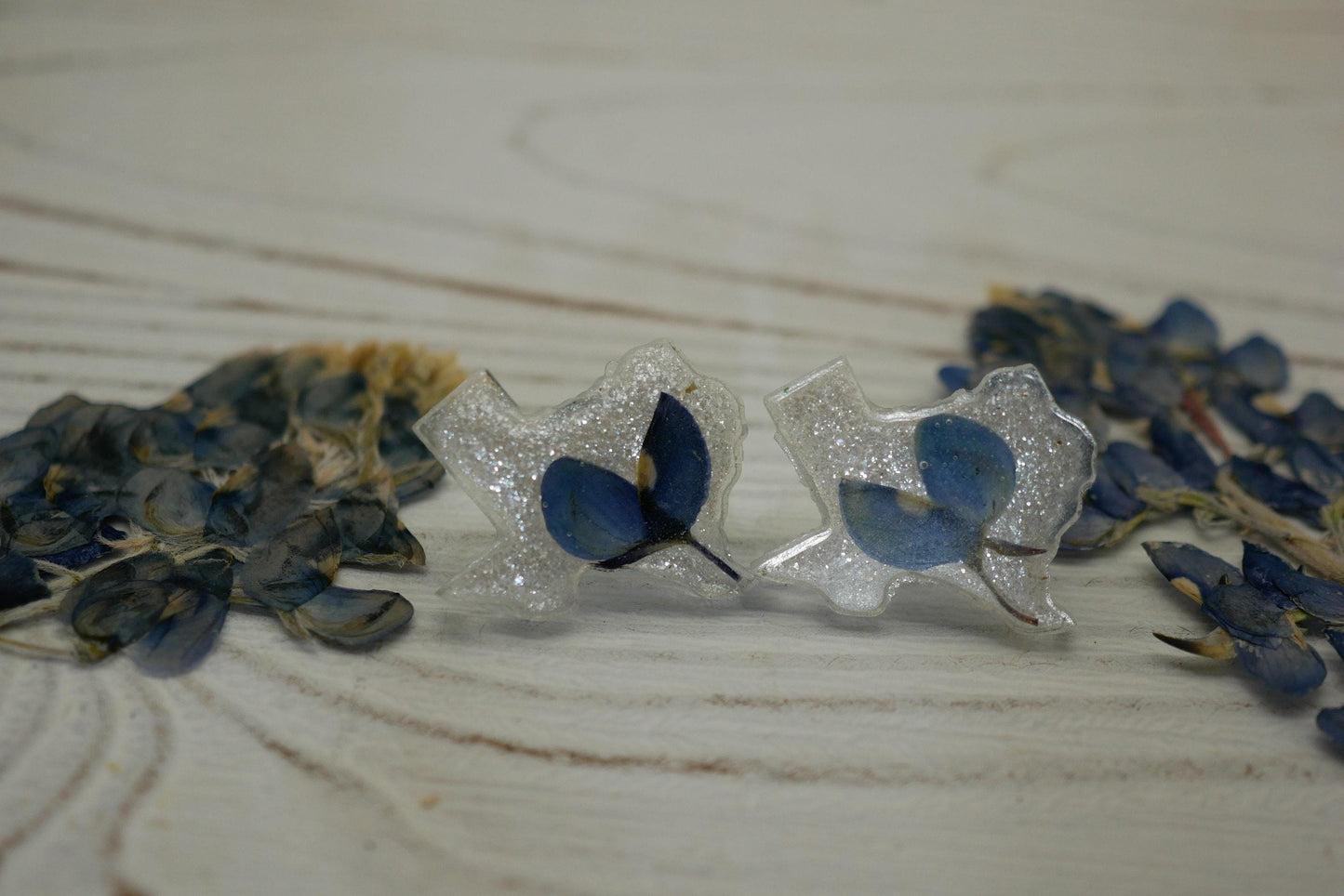 Pressed Bluebonnet Earrings - Texas Shape, Real Flower Studs