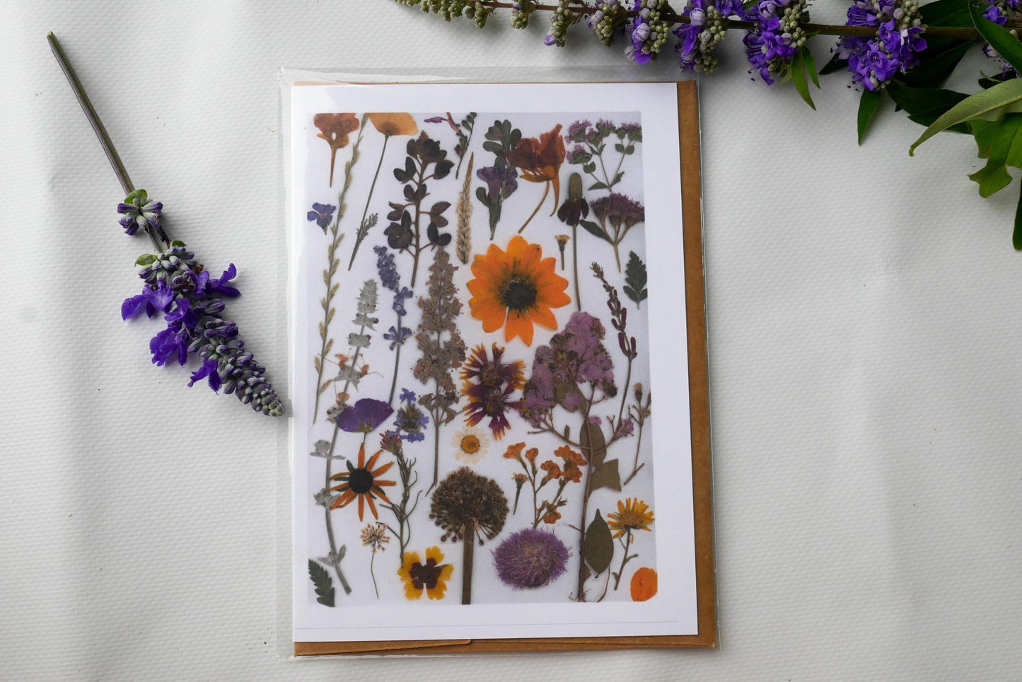 Texas Wildflower Greeting Card: Pressed Flower Print - Blank Inside