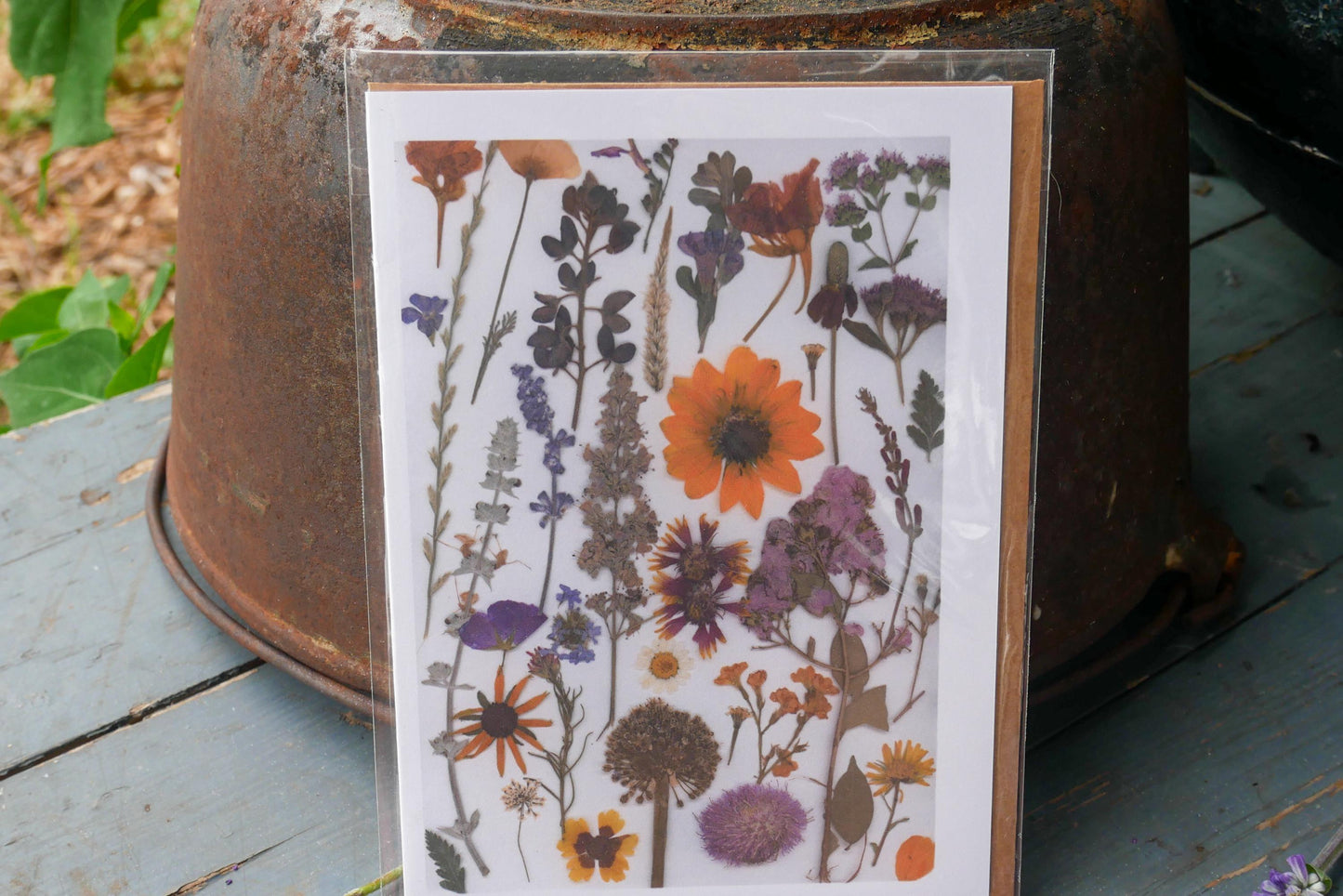 Texas Wildflower Greeting Card: Pressed Flower Print - Blank Inside