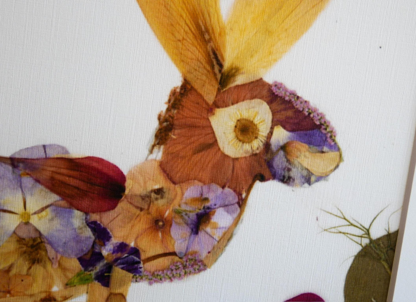 The image is a collage of various dried flowers and leaves, including a large yellow flower, purple flowers, and other natural elements, arranged in a visually appealing manner.