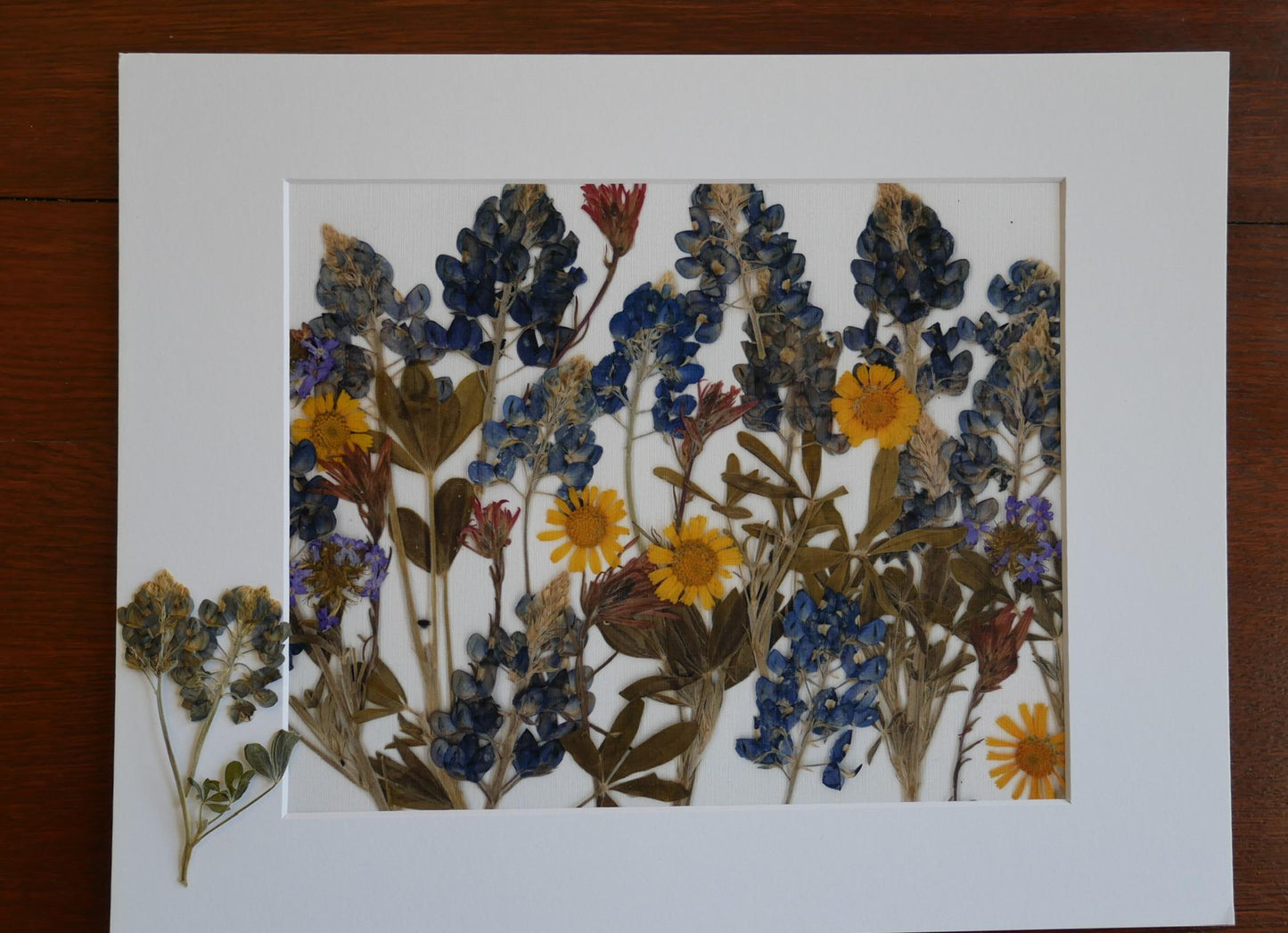 Pressed Bluebonnets Wall Art, Texas Wildflowers (Floral Landscape Print)