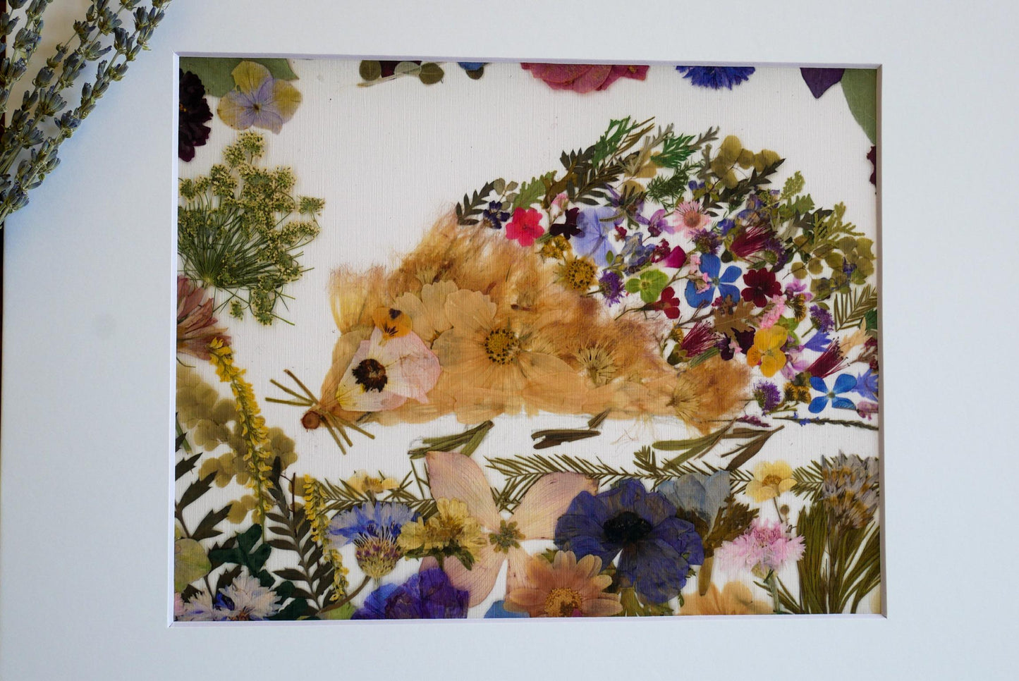 The image is a collage of various flowers and plants, including a hedgehog-shaped flower, arranged in a visually appealing manner.