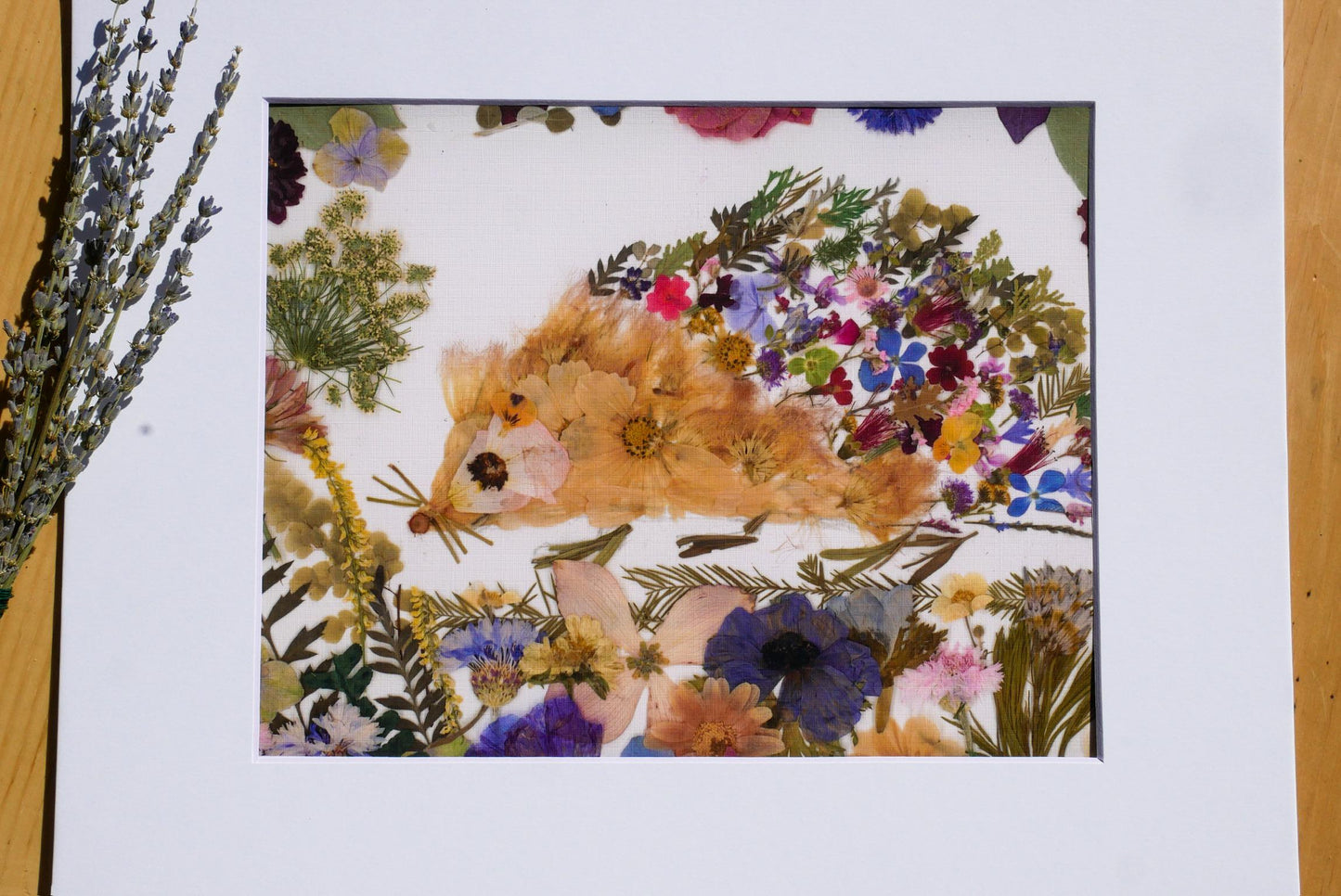 The image is a collage of various flowers and plants, including a hedgehog-shaped flower arrangement, all set against a white background.