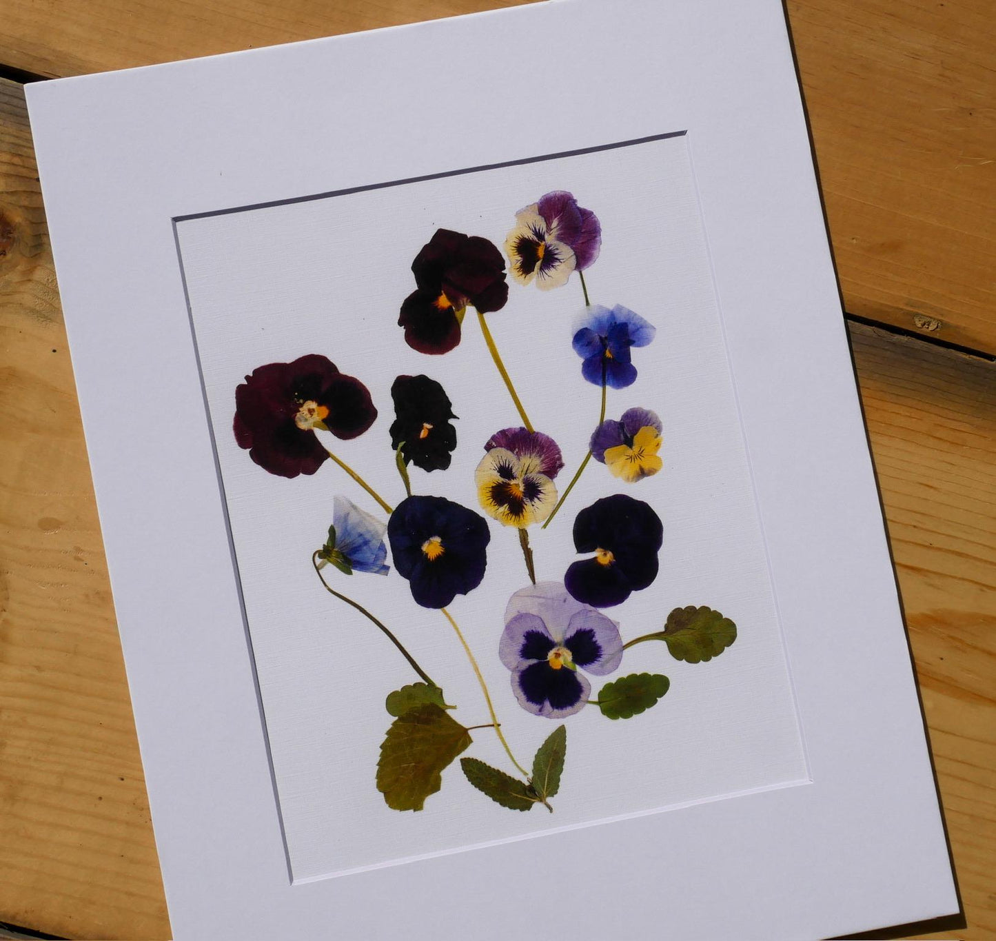 a white frame containing a collection of colorful dried flowers, including purple, blue, and yellow flowers, along with green leaves.