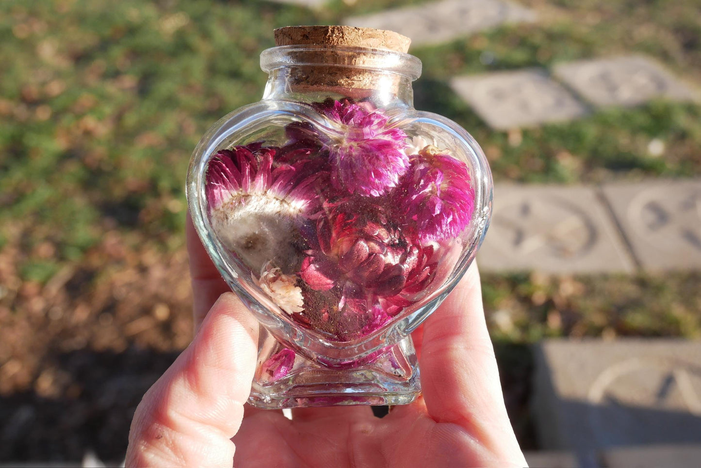 A person's hand holding a glass jar filled with pink flowers against a blurred background of grass and stone pathways.
