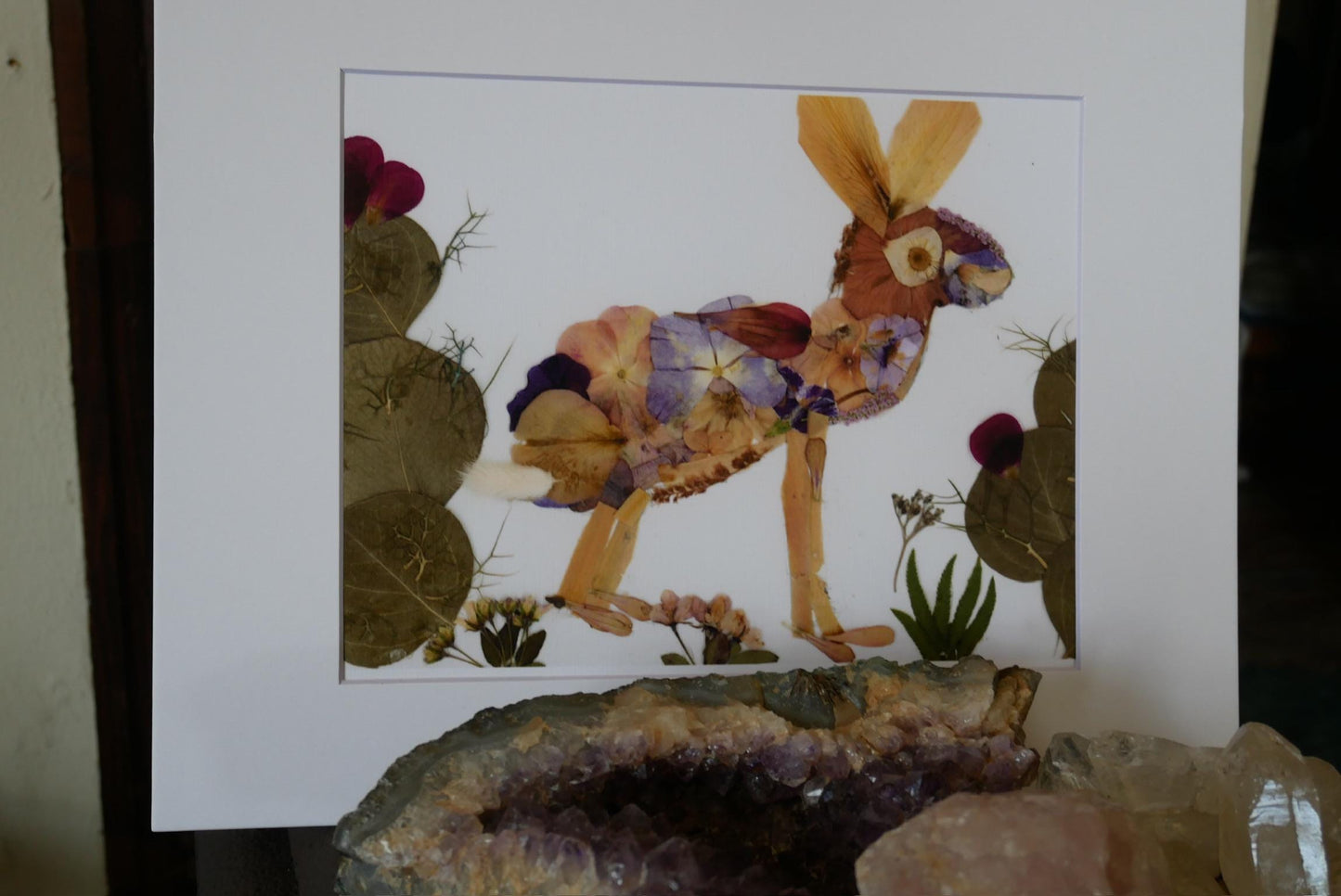 The image is a collage of various natural elements, including a cactus, flowers, and a rock formation, all arranged in a visually appealing manner.