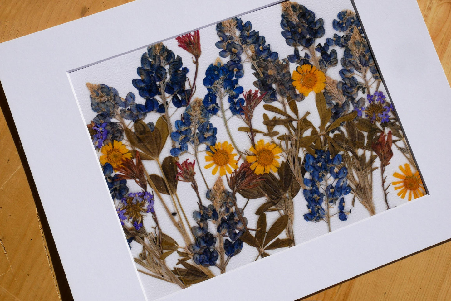 Pressed Bluebonnets Wall Art, Texas Wildflowers (Floral Landscape Print)