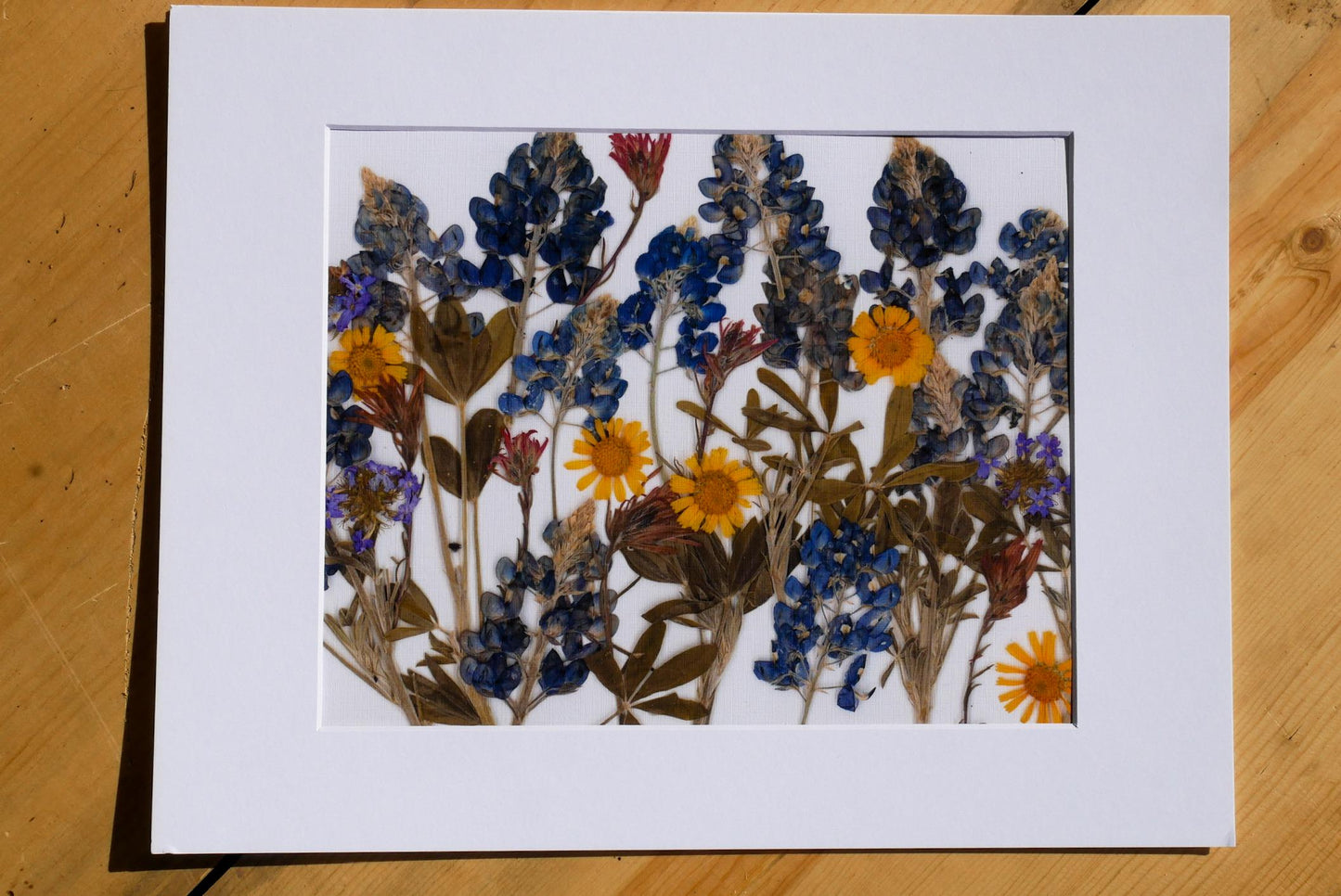 Pressed Bluebonnets Wall Art, Texas Wildflowers (Floral Landscape Print)